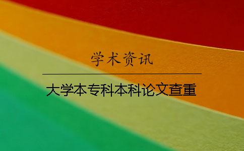 大学本专科本科论文查重